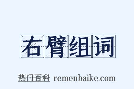 右臂组词是什么意思的图片